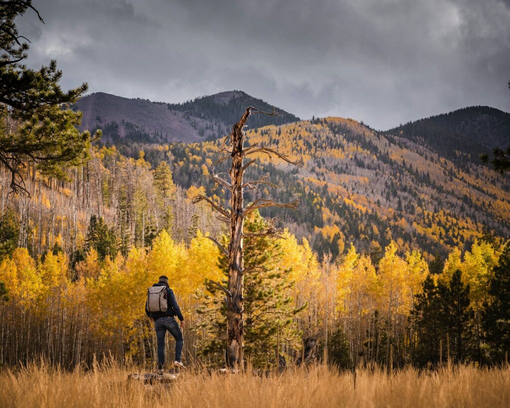 Flagstaff Hiker